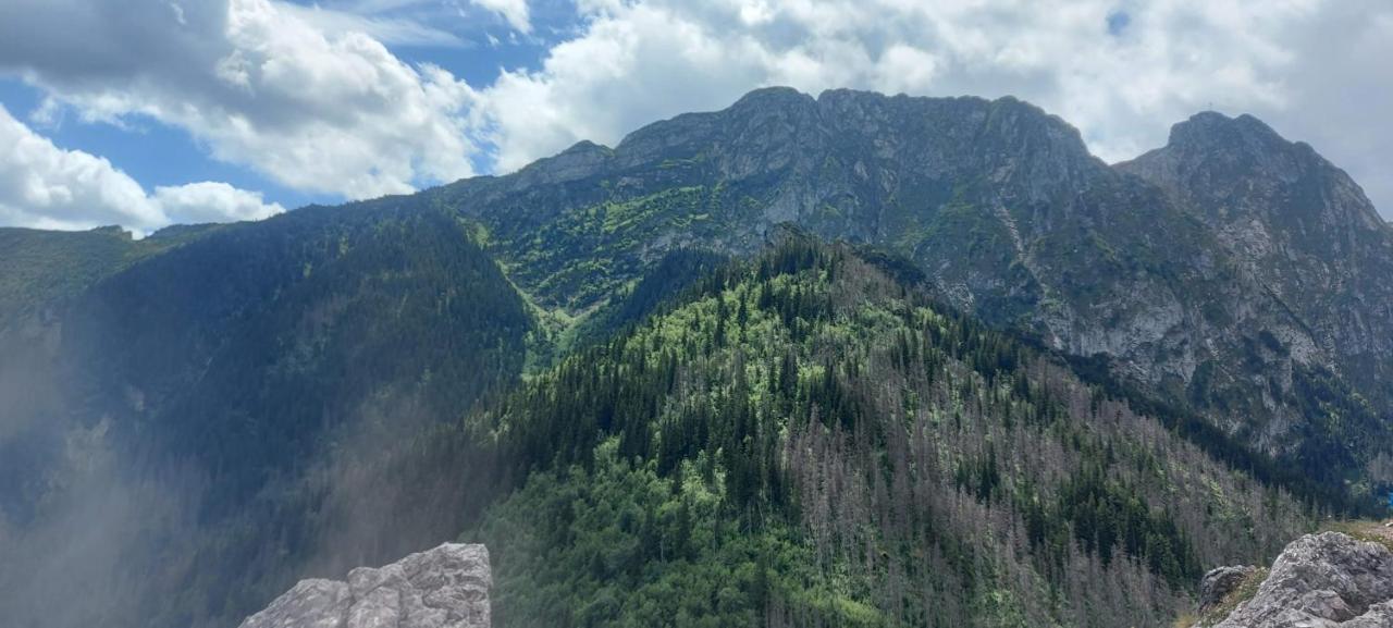 Willa Hajnowka Zakopane Bagian luar foto